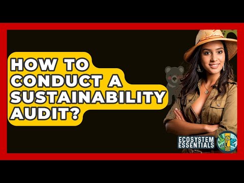 How To Conduct A Sustainability Audit? - Ecosystem Essentials