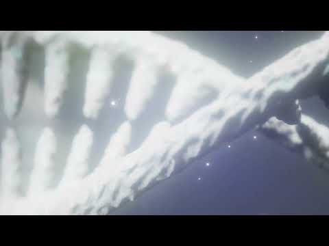 Nofall X Hellgro  - Phobia (Official Visualizer)