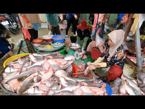 Morning at the Fish Market – Life Beside Cambodia’s River | Fish Market Scenes
