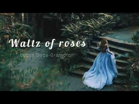 Waltz of roses