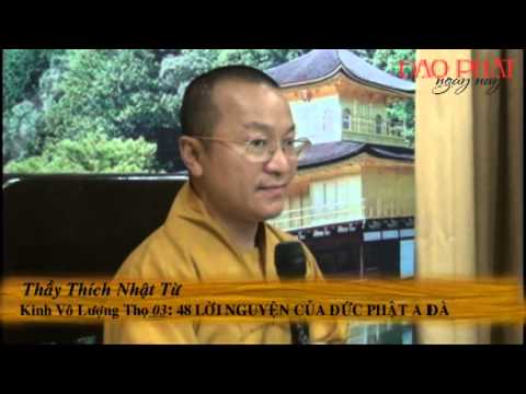 Kinh Vô Lượng Thọ 03: 48 lời nguyện của Phật A Di Đà - Phần 1 (01-24) (11/11/2012)