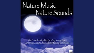 Naturescapes Music