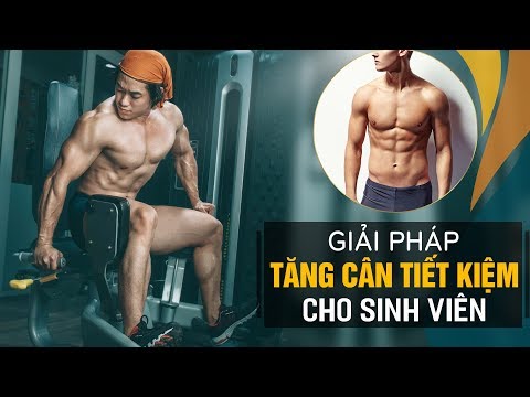 download lagu mp3 mp4 True Gain, download lagu True Gain gratis, unduh video klip True Gain