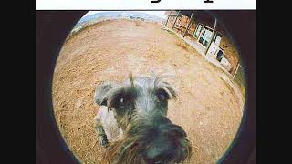 The Hung Ups  "Get A Life"  No.1479