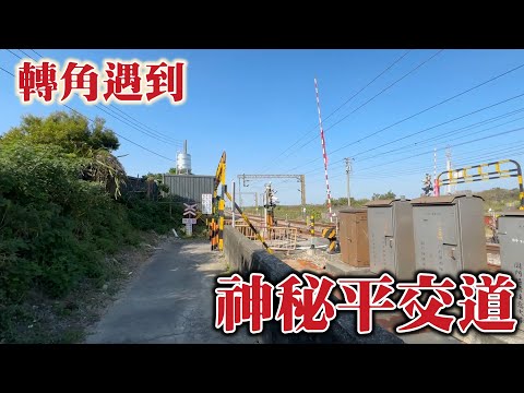 平上去人