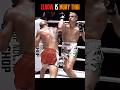 Elbow Is Muay Thai Muaythai Mma Martialarts Fighter