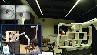 Reconfigurable Constraint-Based Framework for Assistive Robotics With Adaptable 