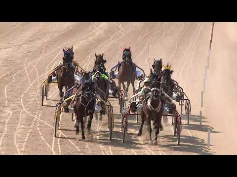 2020.08.08. 04. futam - 2020. ÉVI AMATŐR KUPA VII. FUTAMA HENDIKEP