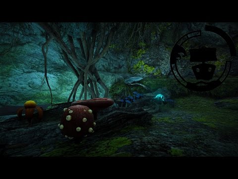 download lagu mp3 mp4 Bdo Cloud Mushroom Recipes, download lagu Bdo Cloud Mushroom Recipes gratis, unduh video klip Bdo Cloud Mushroom Recipes