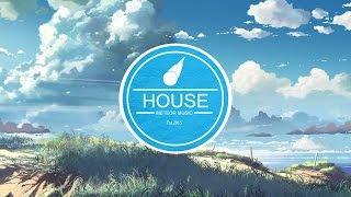 【House】Elektronomia &amp; Alex Skrindo - Ascension