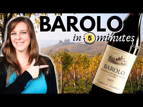 BAROLO Wine Guide: The "King of Wines" Explained in 5 Minutes