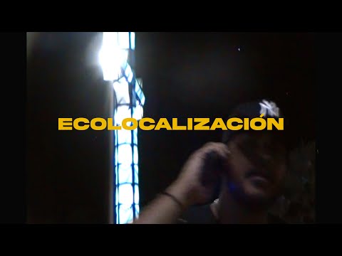 ECOLOCALIZACIÓN - TAYKO (Full Album) [Visualizer]