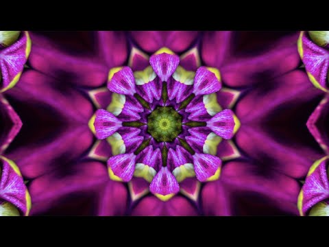 Flowers Kaleidoscope with calming and relaxing music   - 30 Minutes of Peace