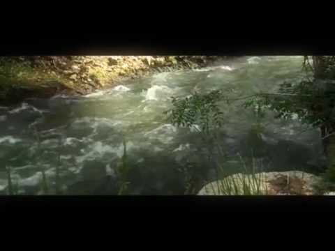 DJ TiTTy - TiTTy Bling