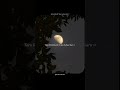 Din Ko Raat Kahegi To Main Raat Kahun Official Video Arijit Singh Badshah New Song 2024