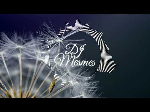 Ayla Schafer, Mose x DJ Mesmes - Vuela con el viento [Zouk-Kizomba Bootleg Remix] #71bpm