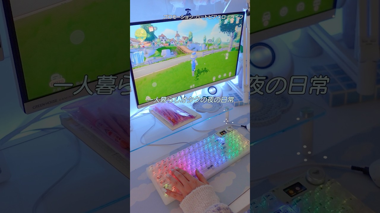 一人暮らしオタクの夜の日常