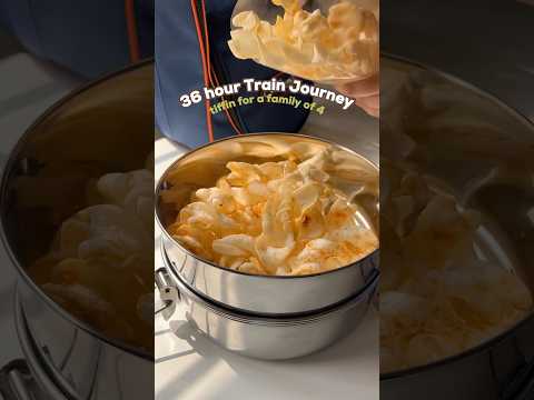 What we packed for lunch and snacks 🚂❤️ #trainjourney #tiffin #indianfood