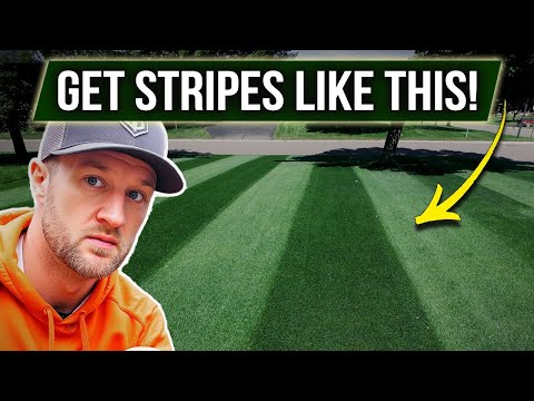 3 WAYS to STRIPE your Lawn! (From Cheap to Pro) + 5 Tips That Matter