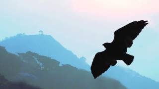 Pan Flute - White Christmas (Instrumental) // Christmas Worldhits