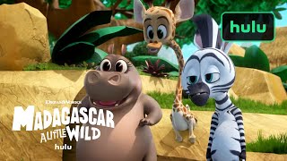 Madagascar: A Little Wild S5