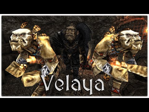 ㉗ ◦ Allein gegen Viele ◦ Velaya | Gothic 2 Mod