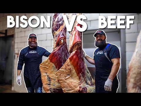 BISON vs BEEF: The Ultimate Comparison | The Bearded...