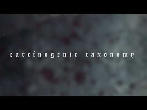 BRUUDE - CARCINOGENIC TAXONOMY (LYRICS)