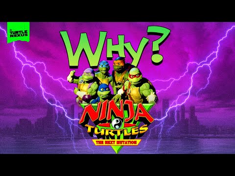 Why did this happen? Ninja Turtles: The Next Mutation Review