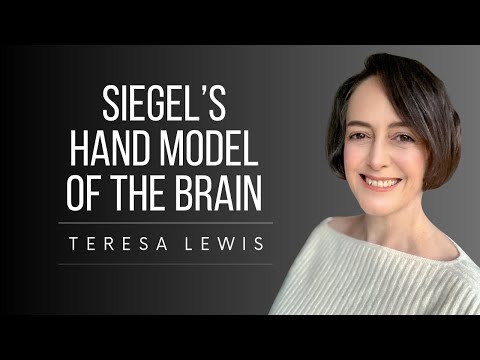 Dr. Dan Siegels Handmodell des Gehirns