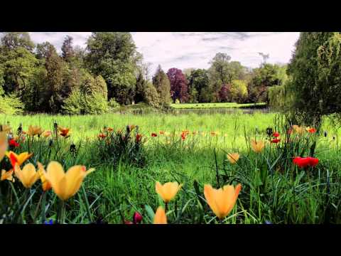 Happy Birthday Rodica.