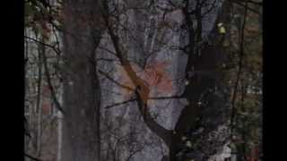 Dave Gahan and Soulsavers: Point Sur Pt. 1