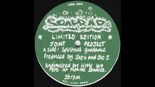 Joint Project - Spiritual Guidance