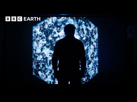 Capture d'écran du flux en direct de la chaîne de télévision en ligne BBC Earth Science