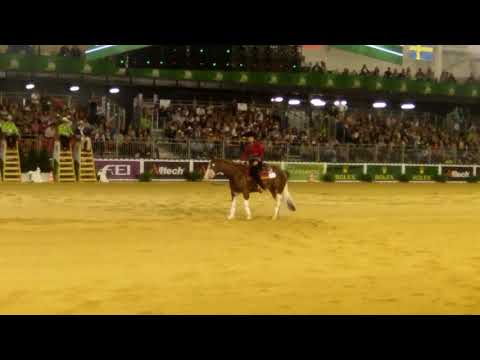 Colonels Smoking Gun