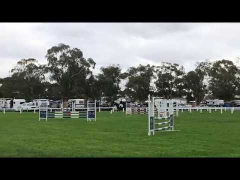VIC Interschool State Champs 11/04/2019 | CT 80cm | Showjumping | Ollie