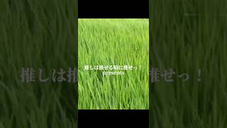 ついに…はじめます！ #推しは推せる時に推せ #推し推せ #コンカフェ #ミナミコンカフェ #アイドル #メイド