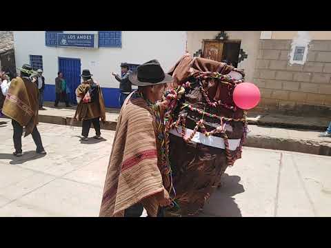 CARNAVAL CACHORINO 2019 - Pasacalle de la comunidad de Pantipata.