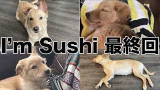 【閉店】I’m Sushiチャンネル最終回のお知らせ