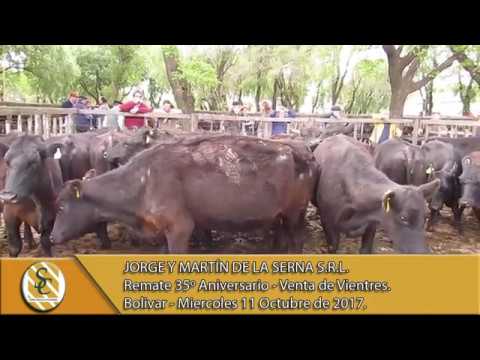 11-10-17 Venta de Vientres - Jorge y Martín de la Serna S.R.L. - Bolivar