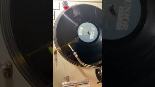 THE NIGHT (THEE APHROHEAD MIX) / ROACH MOTEL #FELIXDAHOUSECAT #JUNIORBOYSOWN #vinyl