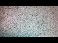 Quick VHS Update For November 18 2020
