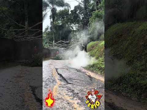 ÁRVORE GIGANTE CAI EM CIMA DE FIAÇÃO ELÉTRICA NA RUA DO JUSTOS