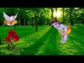 Krishna Janmashtami God WhatsApp Status Video By Sharechat