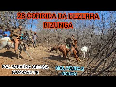 (DRONE) 28 CORRIDA DA BEZERRA BIZUNGA FAZ, BARAÚNA GROSSA IGUARACY-PE ORG, POLETA E GALEGO