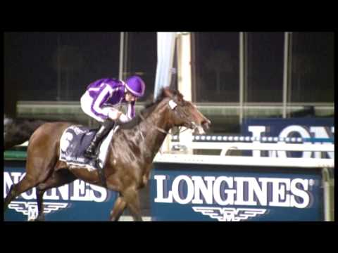 30.03.2013 Meydan (Dubai-UAE) 8.Race Dubai Sheema Classic 2013 - Group I 2.410 m