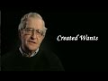 Noam Chomsky - Created Wants