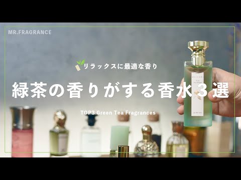 園芸 ラージワイルドチャービル、ムスクチャービル、パーペチュアルチャービル、フレグランスミルラ、ジャコウシダ