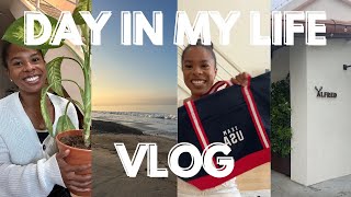 How to Get Over Jet Lag | Day in My Life Vlog (grocery shopping, repotting plants, PR unboxing)