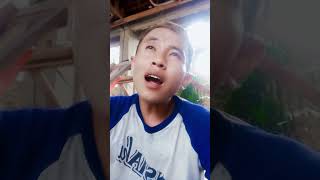 Download lagu rembulan malam mp3